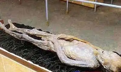 吕布古尸容貌复原图吕布与貂蝉吕布死后貂蝉跟了谁