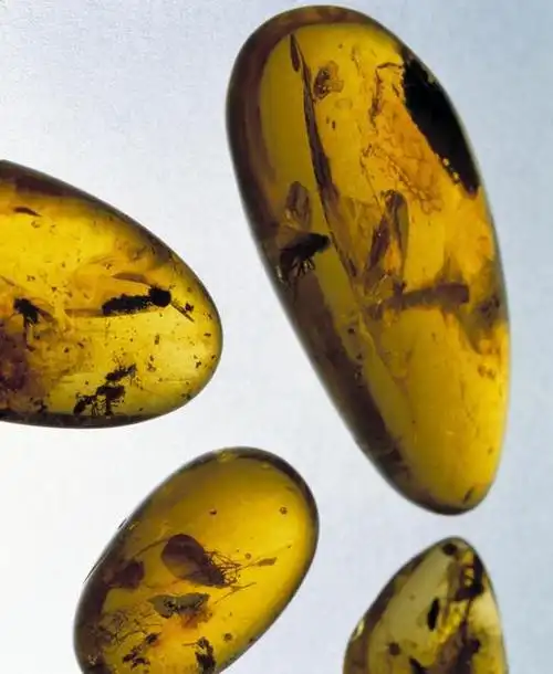 琥珀,在古代被称为"北方之金",贵妃们视琥珀为吉祥之物