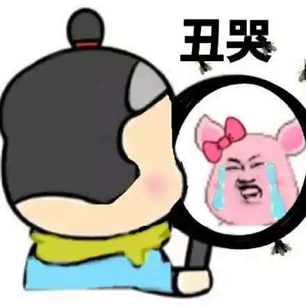 照镜子像猪:丑哭