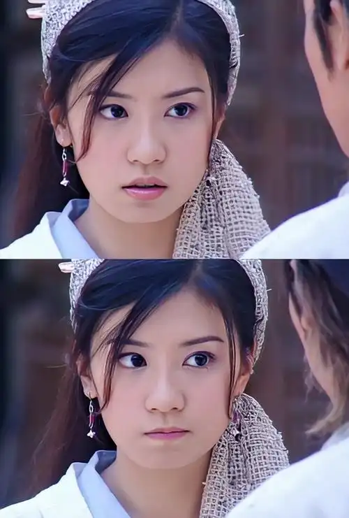 《倚天屠龙记》【赵敏】贾静雯