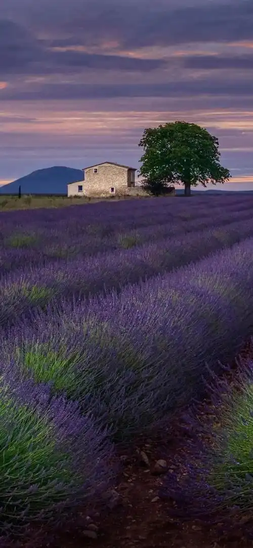 iphone壁纸 安卓壁纸 最新壁纸 手机锁屏壁纸 情侣壁纸 个性头像 好看