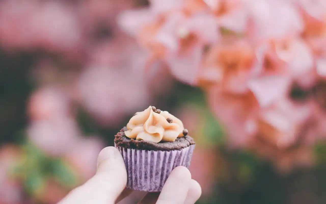 电脑壁纸 摄影 静物写真 欧美非主流唯美静物