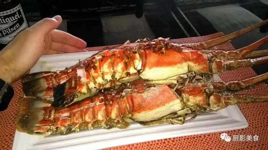 马达加斯加龙虾