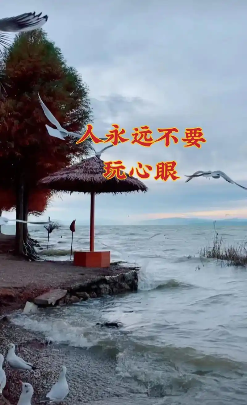 人永远不要玩心眼 ,谁都不傻,只是不好意思拆穿你@dou  - 抖音