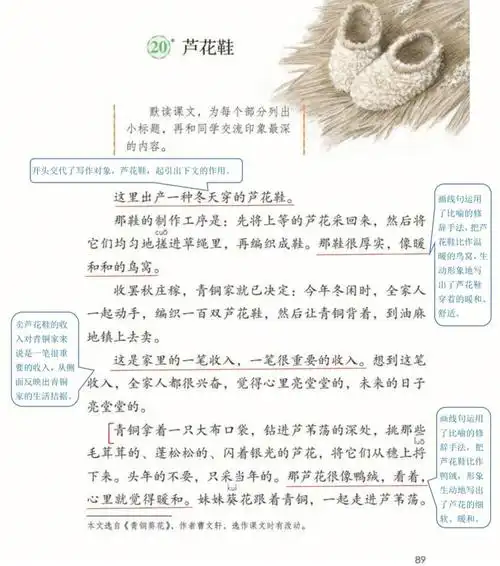 部编版语文四下20芦花鞋笔记