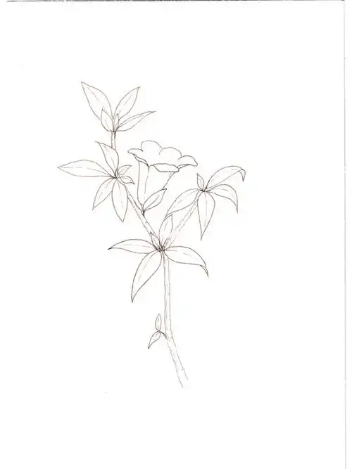 被梦华录的石榴花爱情虐到