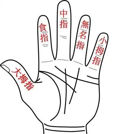 手相解析大全手形指甲指纹手指掌丘