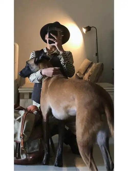 蒂奇是狗皮膏药做的吧01