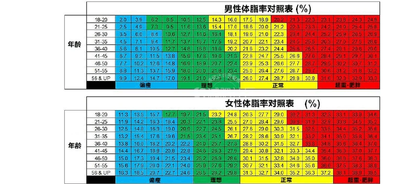 体脂率计算最准确的公式,体脂率如何计算比较准