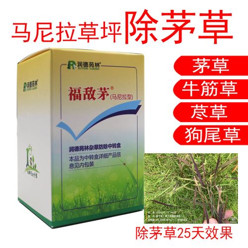 马尼拉草坪除茅草润德福敌茅芦苇牛筋草马唐千金子稗草农药除草剂