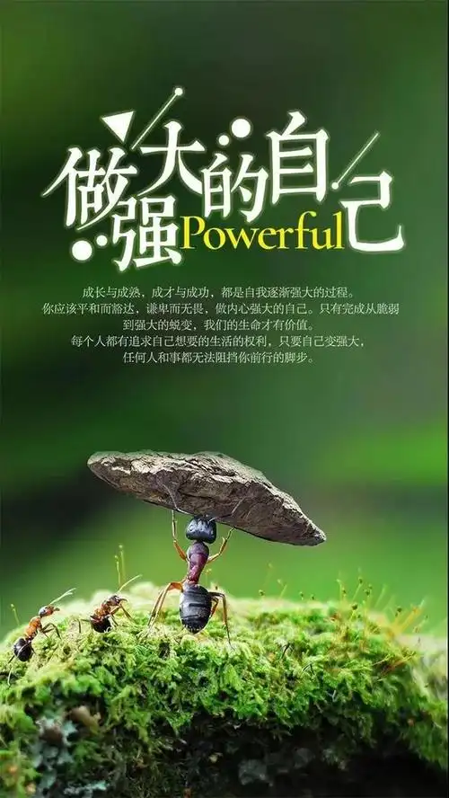 有什么励志的句子可以用来做微信签名?