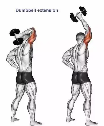 最全的肱二三头肌训练图解,漂亮手臂必备!