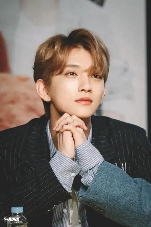 joshua洪知秀79seventeen