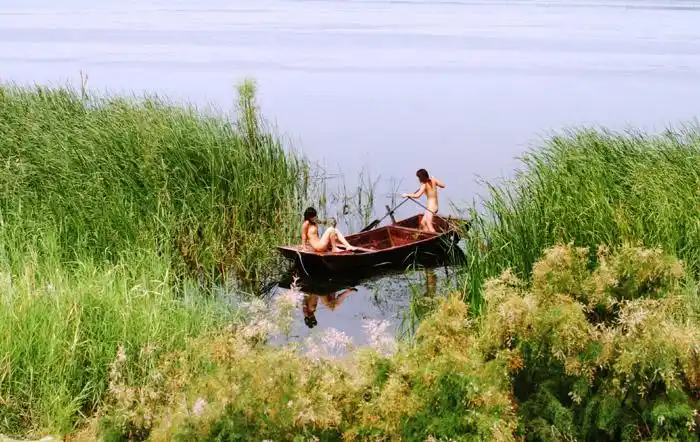 主题:衡水无忌协会交流园地 (第四版)