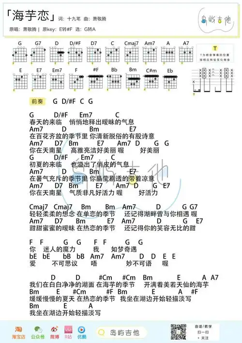 海芋恋吉他谱