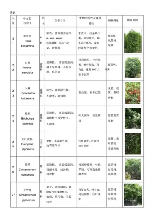 植物表格图对照.docx