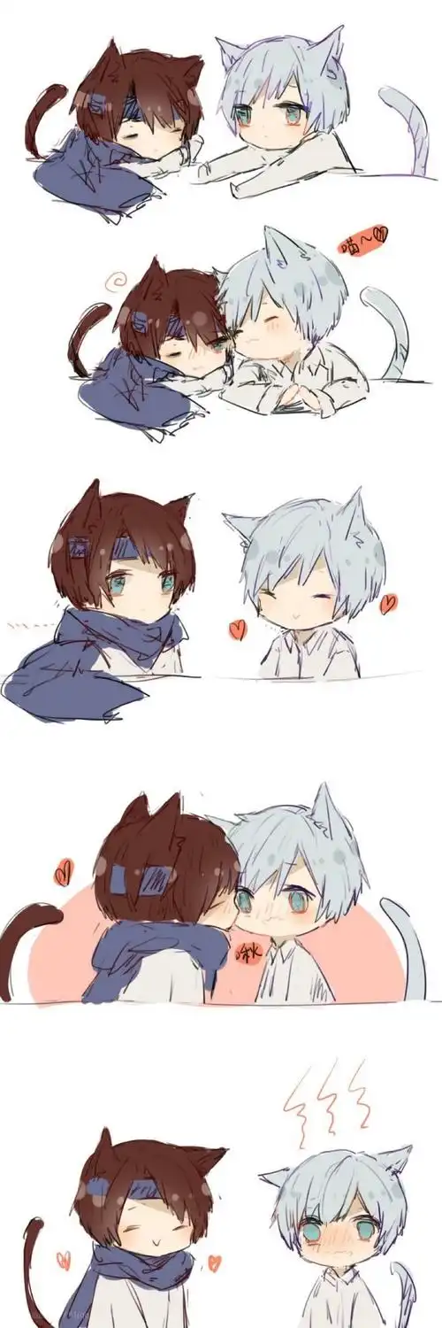 王者荣耀赵云诸葛亮