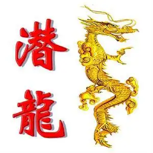 潜龙勿用什么意思