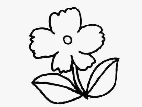 各种花的简笔画各种花的简笔画简单易学