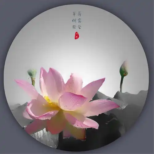 淡淡水墨画,浓浓荷花韵