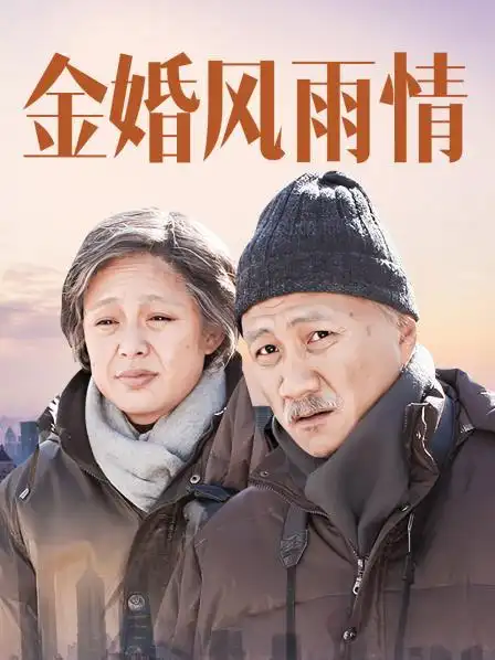 《金婚风雨情》资料—中国—电视剧—优酷网,视频高清在线观看—又名