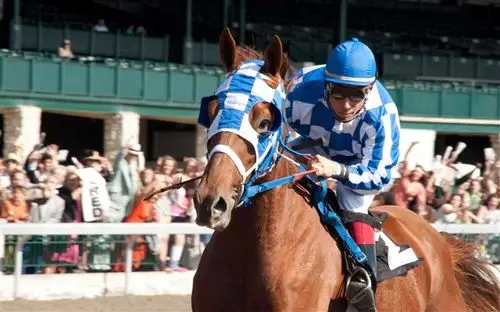 secretariat 一代骄马 高清壁纸(一)25