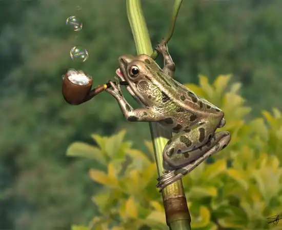 抽烟袋的小青蛙 - m13393707224 - 伪吃货的博客