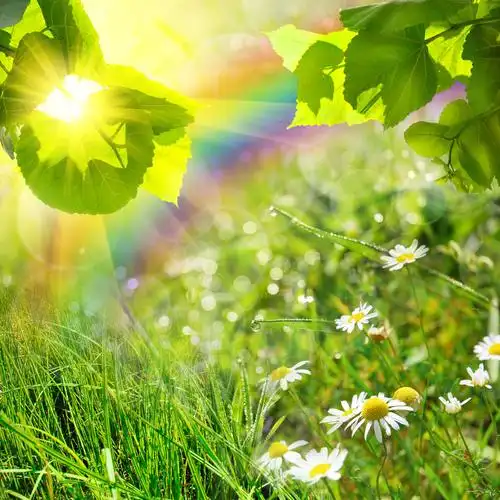 今天阳光明媚,可还是觉得挺冷的,各位商友们注意添衣保暖哦