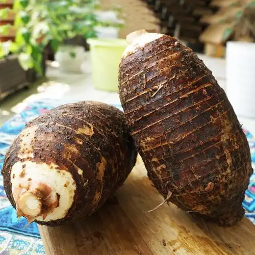 荔浦芋头新鲜免邮广西槟榔蔬菜香芋5斤大果芋头