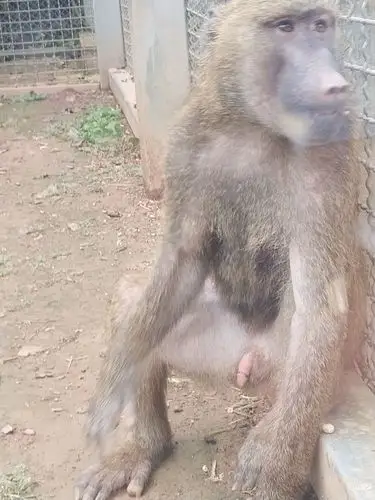 石龙过江风景区