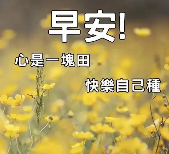 8张最新秋日暖心的早上好祝福语图片带字 有创意的清晨早安问候语图片