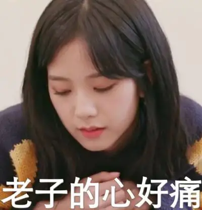 金智秀.jisoo.表情包