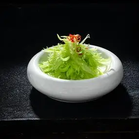 太湖圆盘酒店纯白陶瓷凉菜冷盘特色餐具明档摆盘碟子餐厅会所餐具