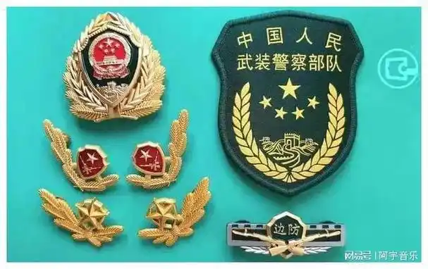 毛启国漫谈武警部队废止的22种16式胸标