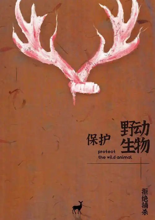 保护野生动物|公益插画海报