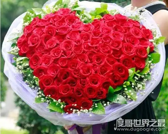 象征爱情的花图片(象征爱情的花及花语)