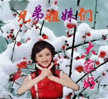 冬至了群里的朋友大家好为您送上最美的群聊动图