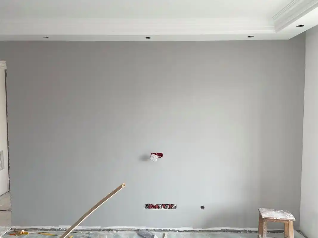 一开始怕颜色太深不好看选择了多乐士的网红浅灰色  ,家里采光太毫怂