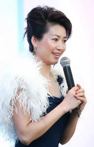 组图王小丫新发型亮相主持论坛粉碎辞职传闻