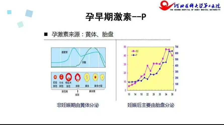 孕激素在流产中的应用