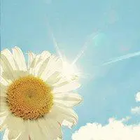 积极向上的阳光头像_微信头像图片大全