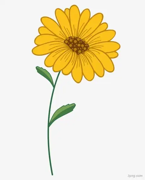 小清新ppt总结形状png素材透明免抠图片-装饰效果