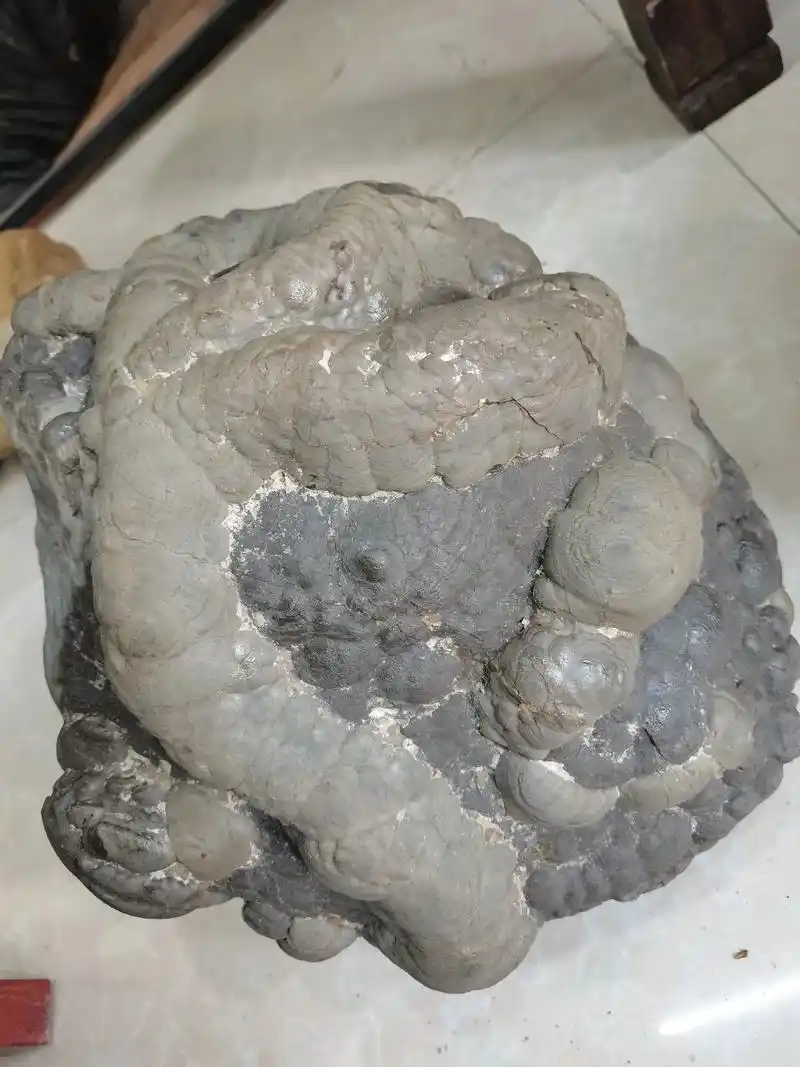 信阳火山蛋    《天下第一蛋》 千姿百态的火山蛋,各种造型 - 抖音