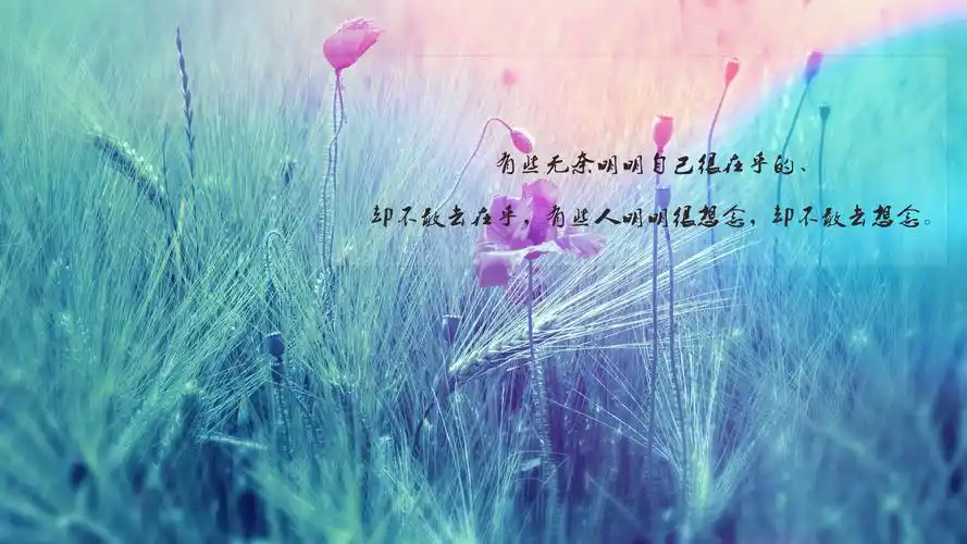 对生活无奈很现实的说说图片