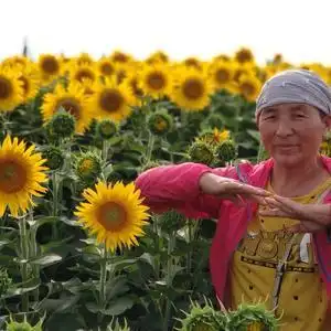 菜大妈头像