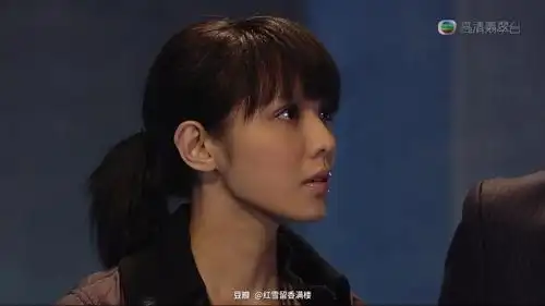 官恩娜「雷霆扫毒」