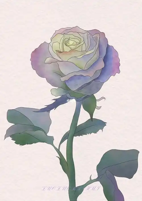 玫瑰花  #ps板绘  #手绘板  #水彩  临摹的玫瑰花95