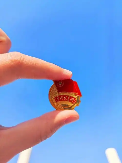 鲜艳的团旗是青春最亮丽的颜色闪耀的团徽是成长最鲜明的指引一张张