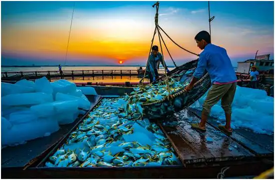 广西渔业高歌猛进迈入高质量发展快车道