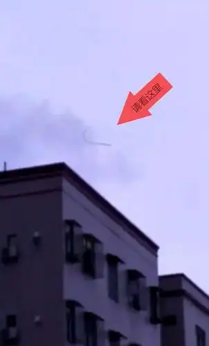 永州曝真龙视频,传说中的中国龙竟然真的存在?